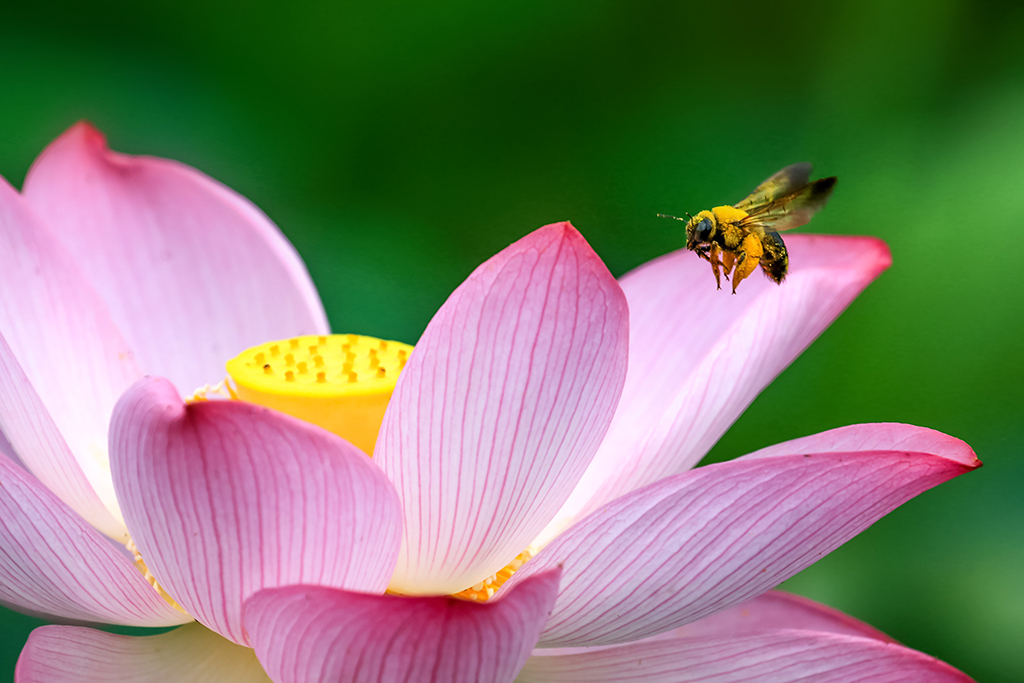 714ںʡɽhrĔzĺɻAlxz